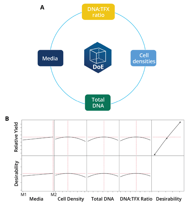 Small-Molecule Yield Enhancers in AAV Production