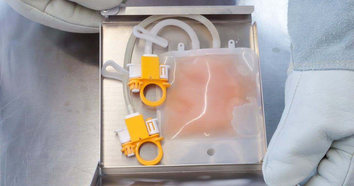 Cryopreservation in cell and gene therapy manufacturing: A look at ...