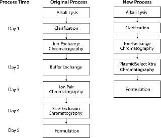 Scale-Up Of A Plasmid DNA Purification Process