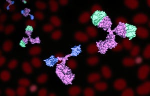Antibody-Derivative Biotherapeutics: Fragments and Fusions Define the Future