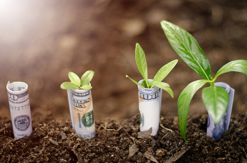 Seed financing round to develop Green Bioactives plant platform
