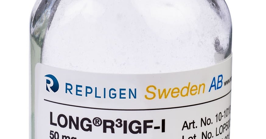 Repligen Biolife Optimizing Cell Culture Productivity: New Findings on the Impact of ...