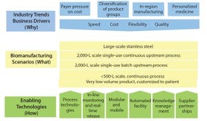 BioPhorum Operations Group Technology Roadmapping, Part 2: Efficiency, Modularity, and Flexibility As Hallmarks for Future Key Technologies