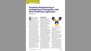 Streamline Manufacturing of Antibody-Based Therapeutics with Novel Purification Approaches