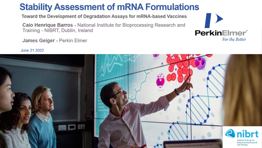 Stability Assessment of mRNA Formulations – Toward the Development of Degradation Assays for mRNA-based Vaccines