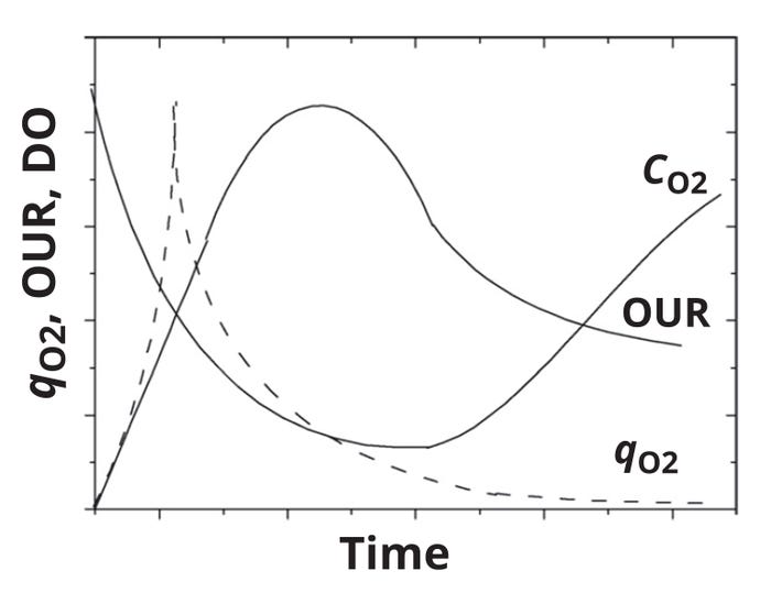 22-9-Chaudhry-F4.jpg 22-9-Chaudhry-F4.jpg