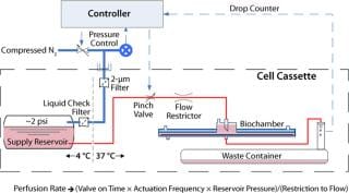 Cell Point Process Control Manufacturing Patient-Specific Cell Therapy Products