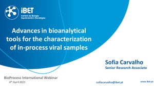 Advances in Bioanalytical Tools for the Characterization of In-Process Viral Samples