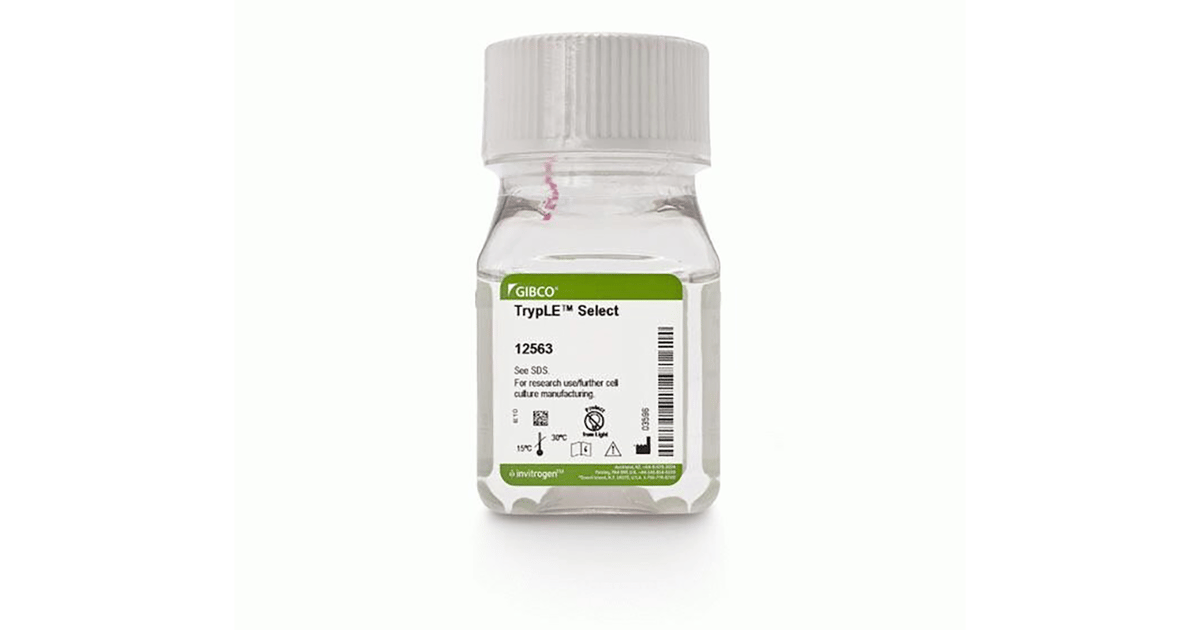Gibco TrypLE Select Enzyme: An Alternative to Animal Trypsin for Cell ...