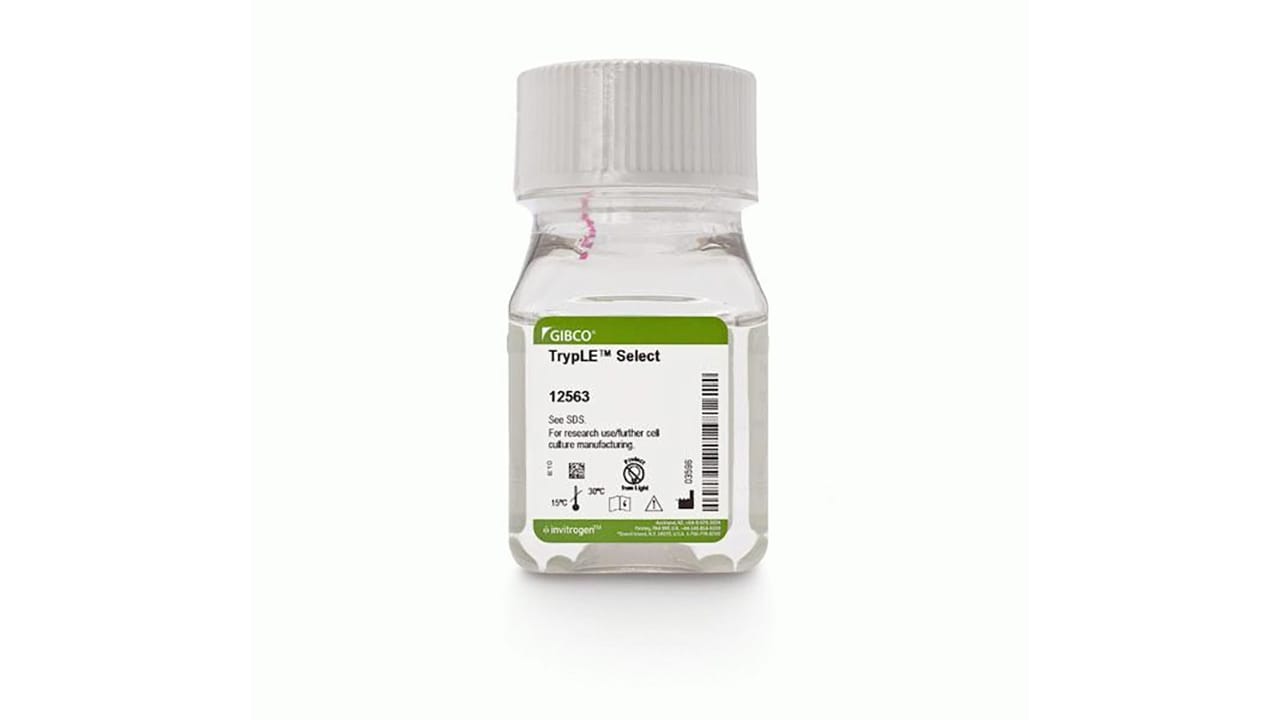 Gibco TrypLE Select Enzyme: An Alternative to Animal Trypsin for Cell ...