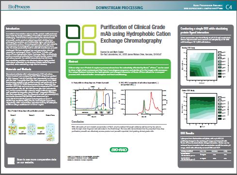 Purification of Clinical Grade MAb using Hydrophobic Cation Exchange Chromatography Resin