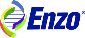 14-7-Enzo-logo-300x136.jpg