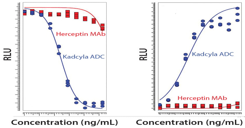 Kadcycla ADC - Potency Regulatory and Bioprocessing Concerns of ADCs ...
