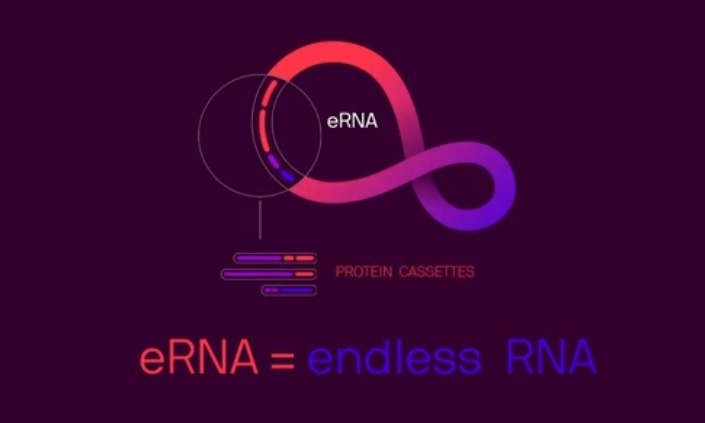 Laronde aims to turn cells into drug production facilities using eRNA