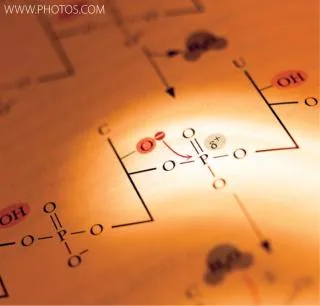 dihexa stability ph degradation pathways Biopharmaceutical Product Stability Considerations, Part 1