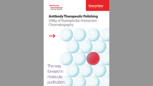 Antibody Therapeutic Polishing: Utility of Hydrophobic-Interaction Chromatography