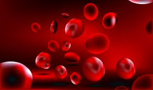 red-blood-cells-background_GyPV0_o_L-300x177.jpg