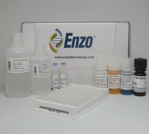 Enzo Launches an Ultra-Sensitive and Highly Specific VEGF ELISA Kit