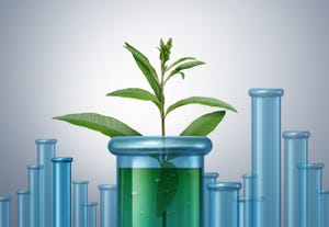Core Biogenesis bags $10.5m funding to drive plant-based bioproduction