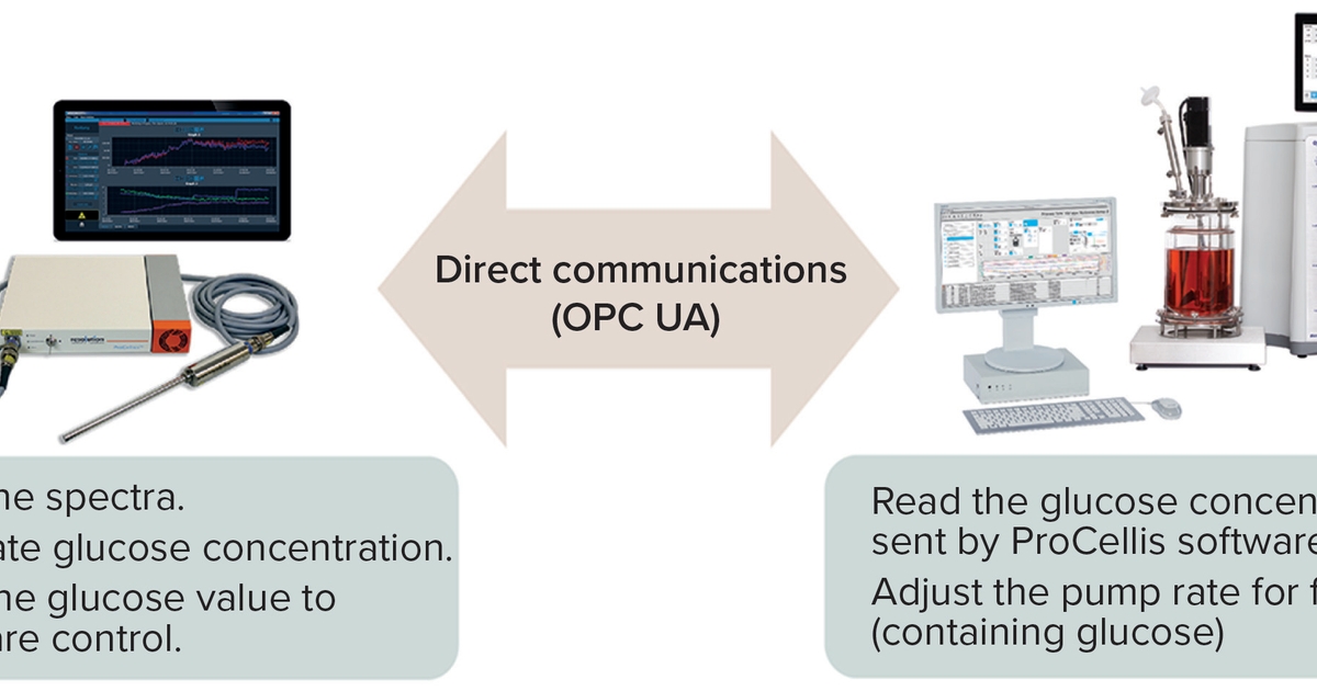 Using Raman Spectroscopy in CHO Cell Culture to Monitor Glucose ...