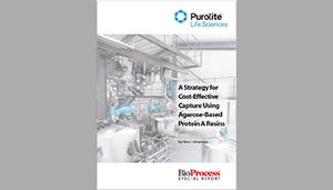 Special Report: A Strategy for Cost-Effective Capture Using Agarose-Based Protein A Resins