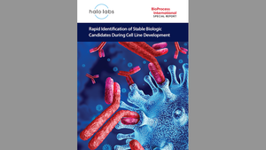 Rapid Identification of Stable Biologic Candidates During Cell Line Development