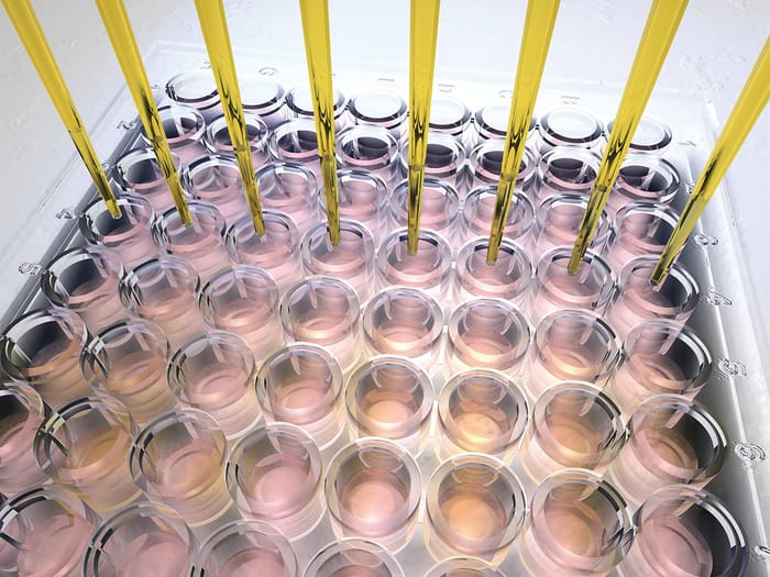 Cell Line Development recent news | BioProcess International