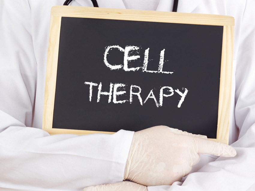 Cell therapy manufacturing studies suggest industry still needs better tech