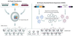 Viral-Vectored Gene Therapies: Harnessing Their Potential Through Scalable, Reproducible Manufacturing Processes