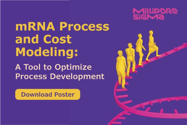 mRNA Process and Cost Modeling: A Tool to Optimize Process Development
