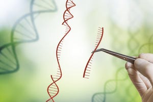 Gilead Flies a Kite for ZFN Gene Editing Tech Over CRISPR