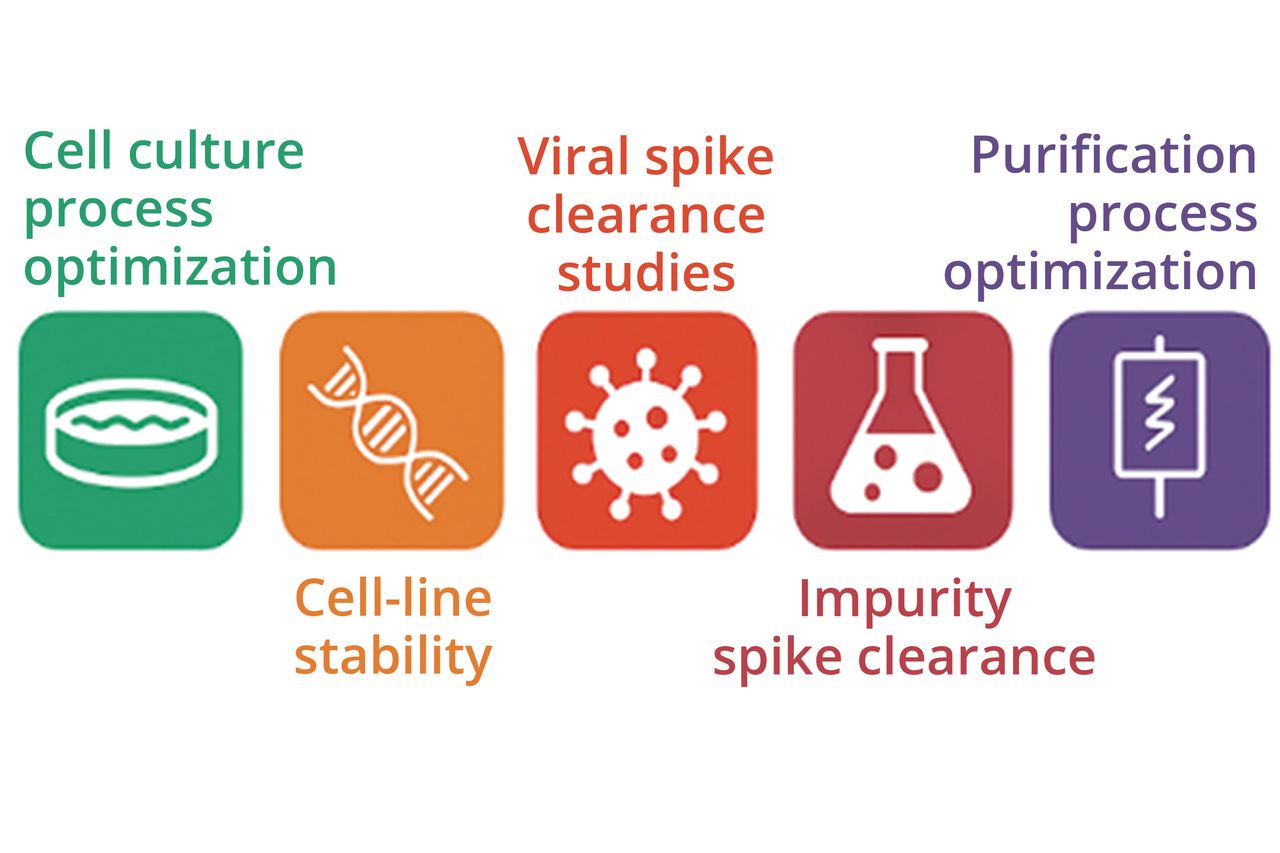 Cmc Risk Based Process Development Synchronizing CMC Activities with Clinical Development