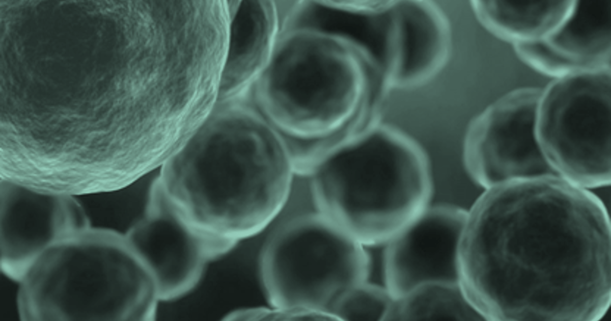 Large Scale AAV Manufacturing - BioProcess International