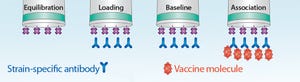 A Fast and High-Precision Influenza Vaccine Potency Assay