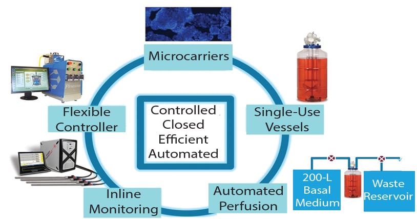 Platform Solutions for Cell Therapy Manufacturing
