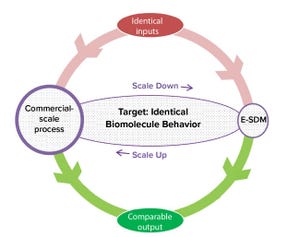Developing an End-to-End Scale-Down Model for a Commercial-Scale Downstream Process: Enhancing Technology Transfer Efficiency
