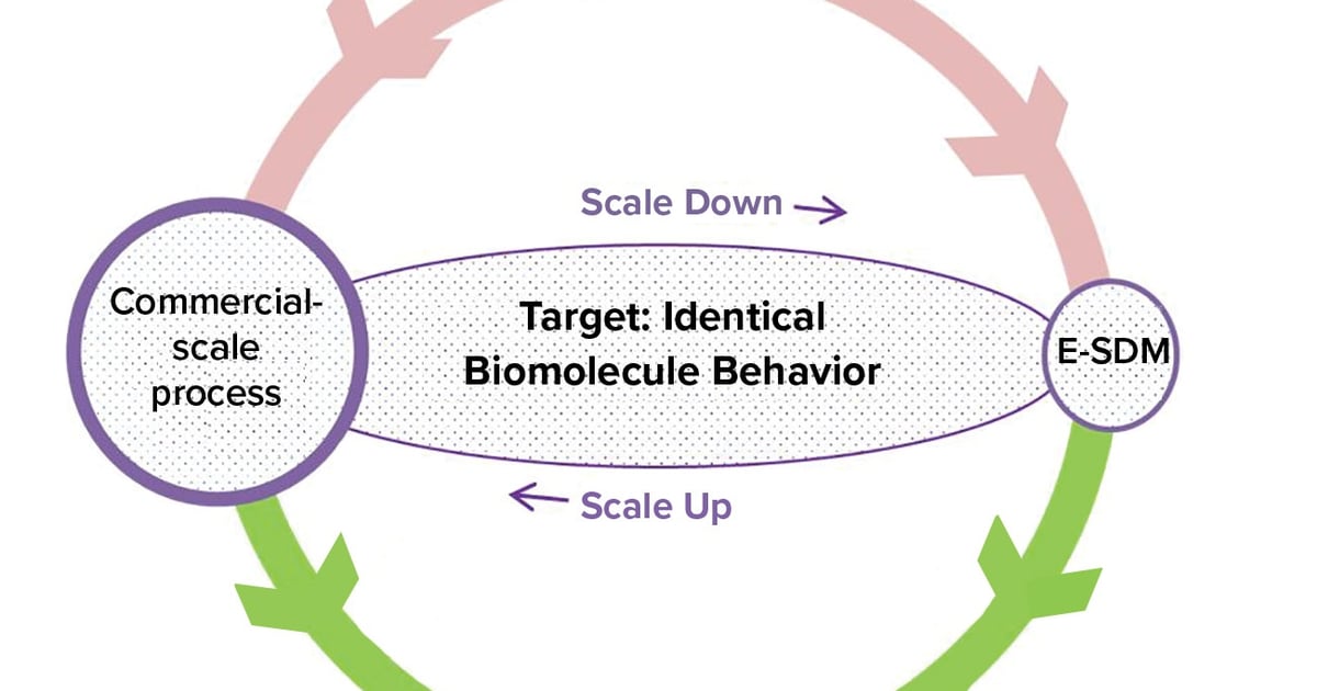 Developing an End-to-End Scale-Down Model for a Commercial-Scale ...