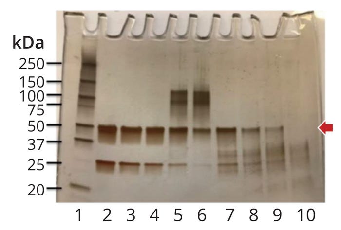 22-11-12-Sharnez-F3.jpg 22-11-12-Sharnez-F3.jpg