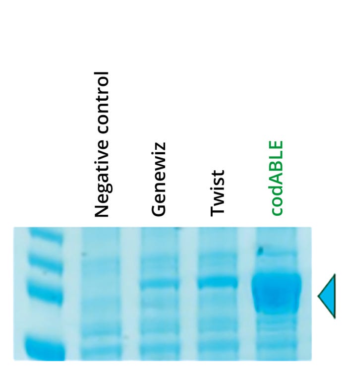 22-9-tech-Cruz-Fig1.jpg 22-9-tech-Cruz-Fig1.jpg
