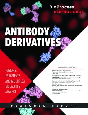Antibody Derivatives