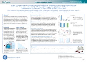 New Core Bead Chromatography Medium Enables Group Separation and High Productivity Purification of Large Molecules