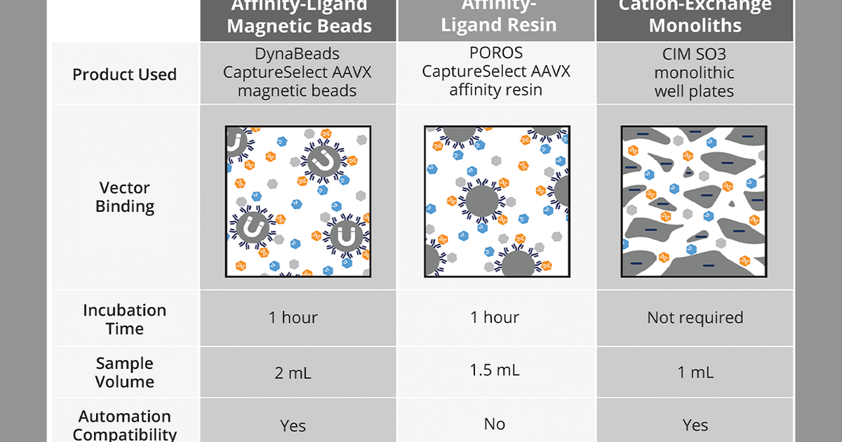Mass Photometry for AAV Upstream Process Monitoring