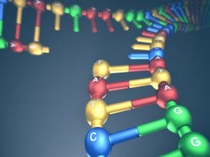 DNA-2-ktsimage-300x224.jpg