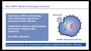GPEx Boost: A Novel Approach for High-Expressing CHO Cell-Line Engineering