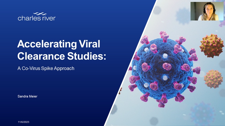 Accelerating Viral Clearance Studies: A Co-Virus Spike Approach