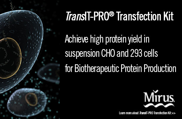 Selecting a Transfection Reagent for Large Scale Protein Production in Suspension 293 Cell Types
