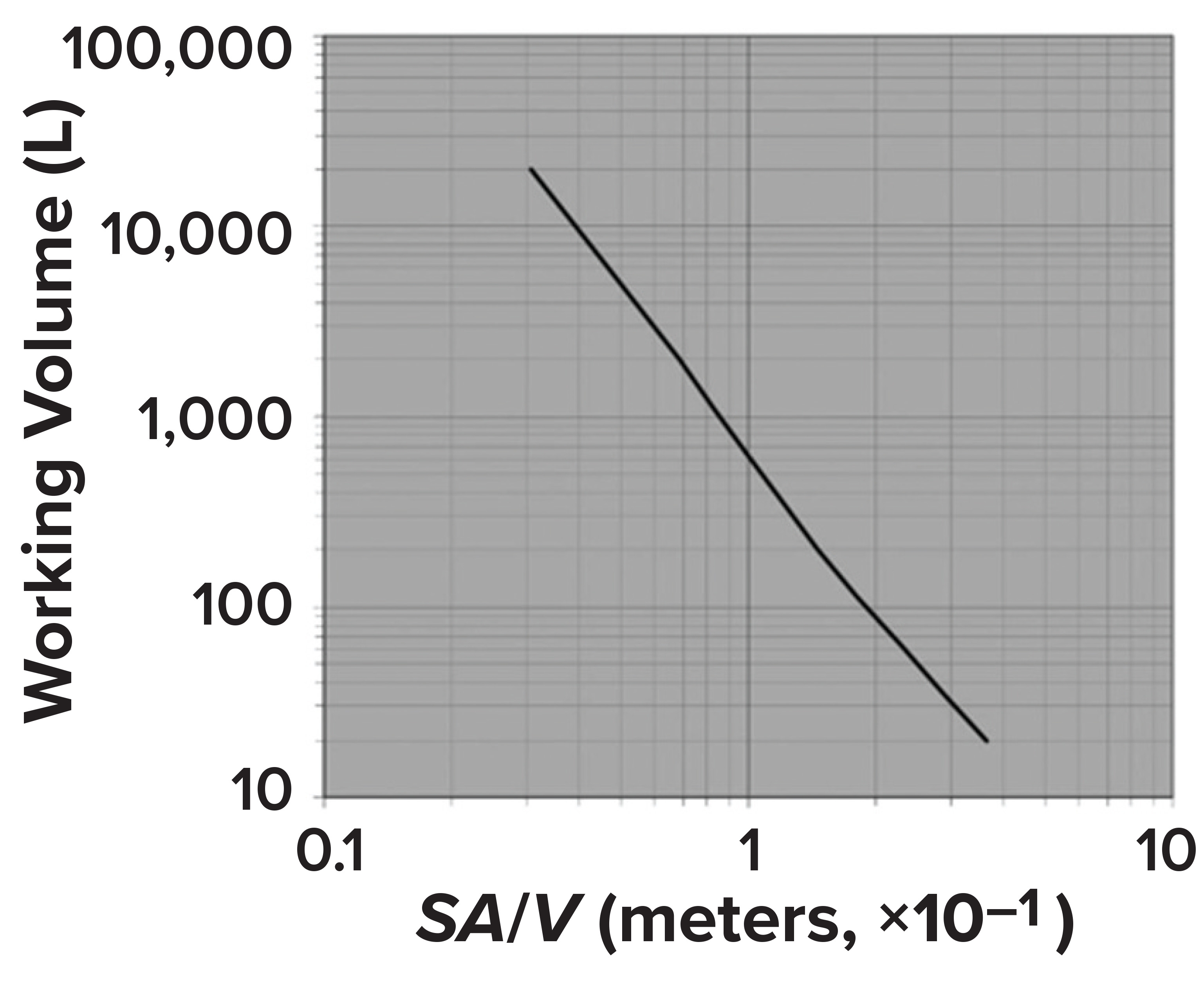 Exploring Principles of Bioreactor Scale-Up