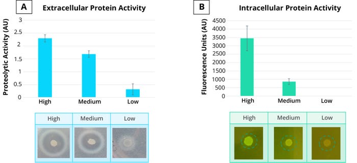 22-9-tech-Cruz-Fig4A&B.jpg 22-9-tech-Cruz-Fig4A&B.jpg