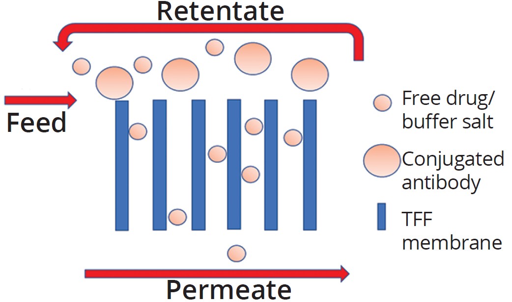 ADC Platform Process Development: Variable Pathlength Technology