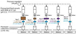 Virus FIltration Optimization: A Key to a More Efficient and Cost ...